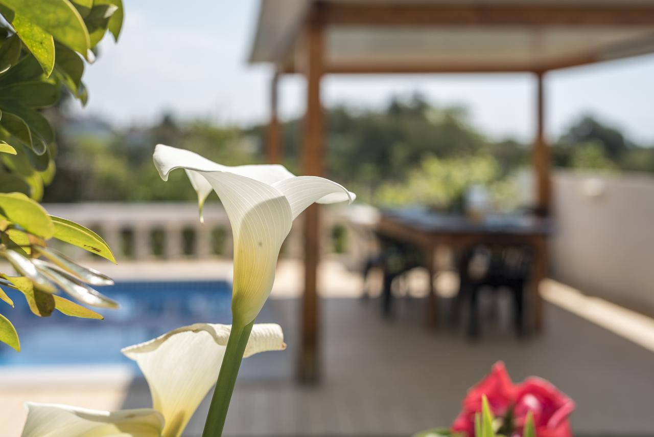 Villa Sao Miguel - Armacao De Pera Ngoại thất bức ảnh